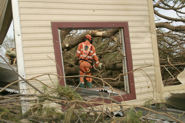 Best Tree and Shrub Care  in Woodward, OK